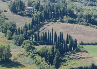 A sweeping panoramic view over rolling green hills and valleys from an Italian hill town.