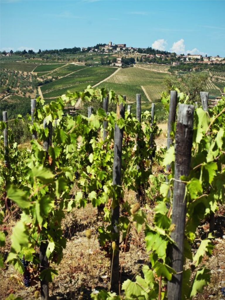 Tuscany-and-Umbria-Tour-June-3-10-2024-Adventures-in-Italy-Orvieto